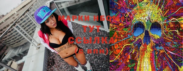 бошки Новодвинск